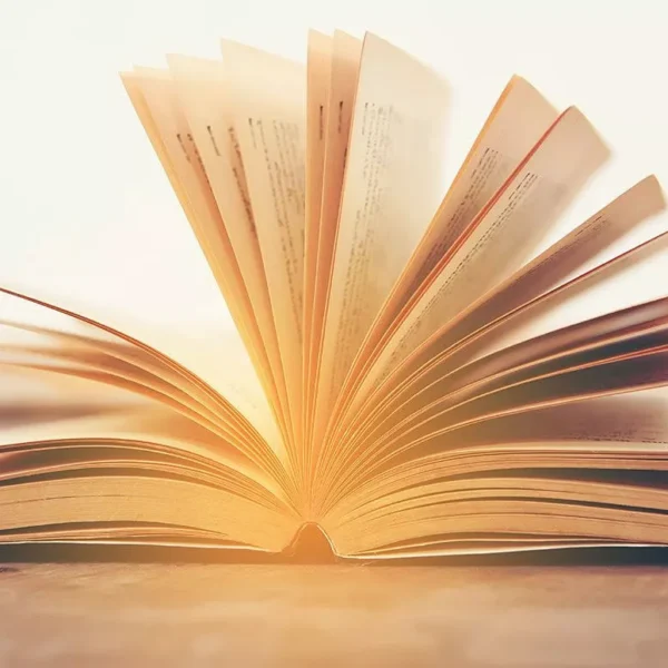 Čitateľský maratón